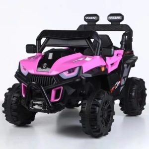 2 Motors Kids Ride On Car with 12V Battery & remote Pink