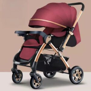 Infant Baby Stroller for Newborn and Toddler Wine Red
